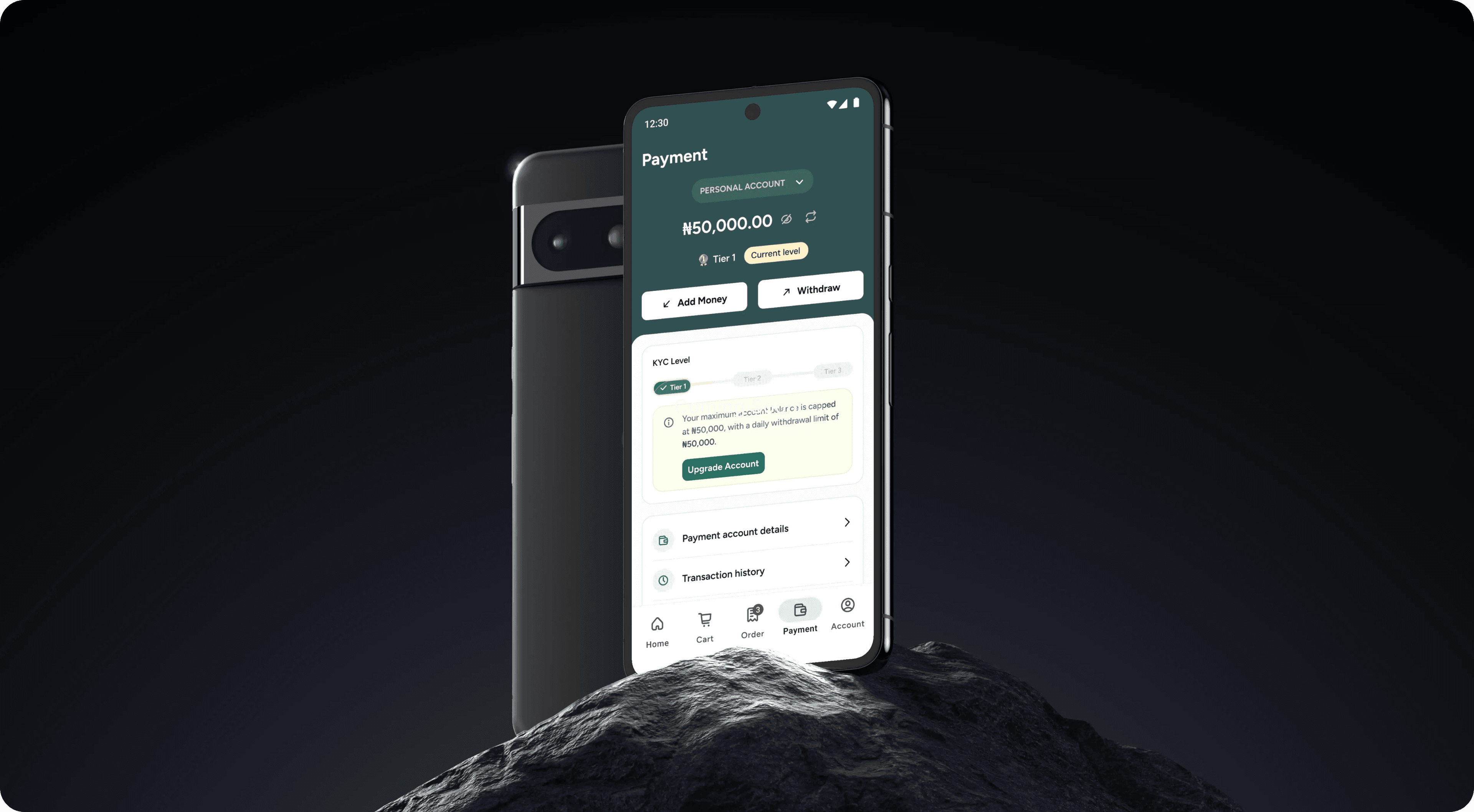 The phone mockup on the dark rock/desert backdrop showing the Payment screen (₦10,000.00 balance, Add Money / Withdrawal actions, payment/transaction list below).
